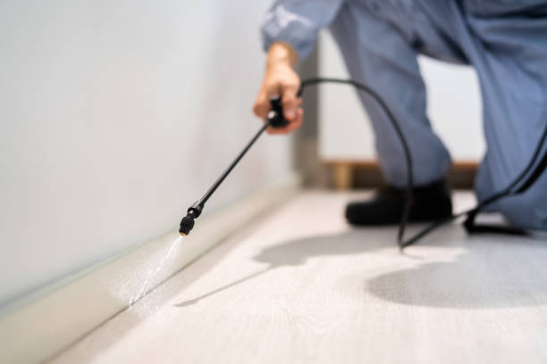 Professional exterminator conducting IPM assessment in Auburn